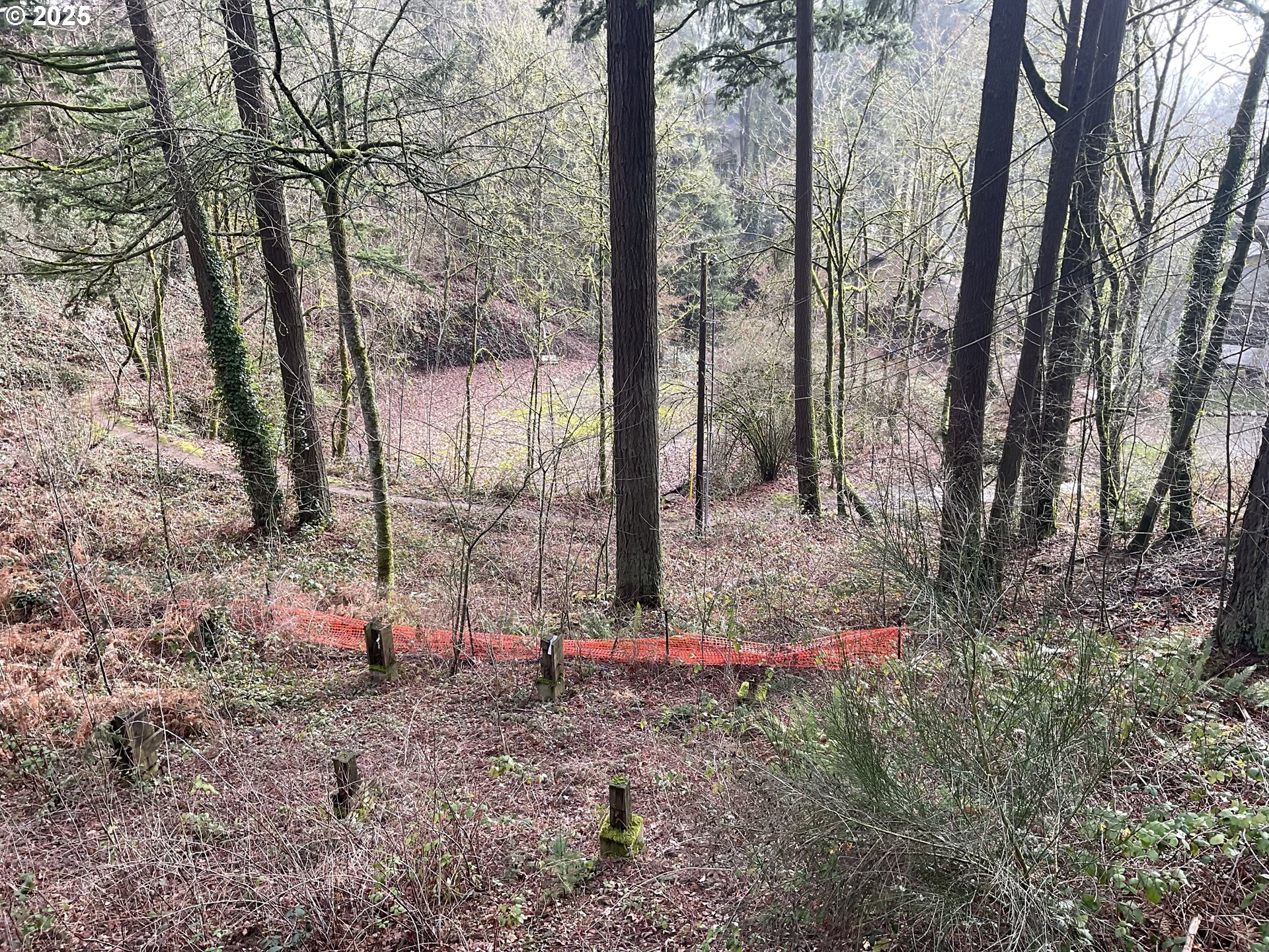 4410 Southwest Hewett Boulevard Portland, OR 97221 - Photo 16 of 17 a backyard of a house with lots of green space