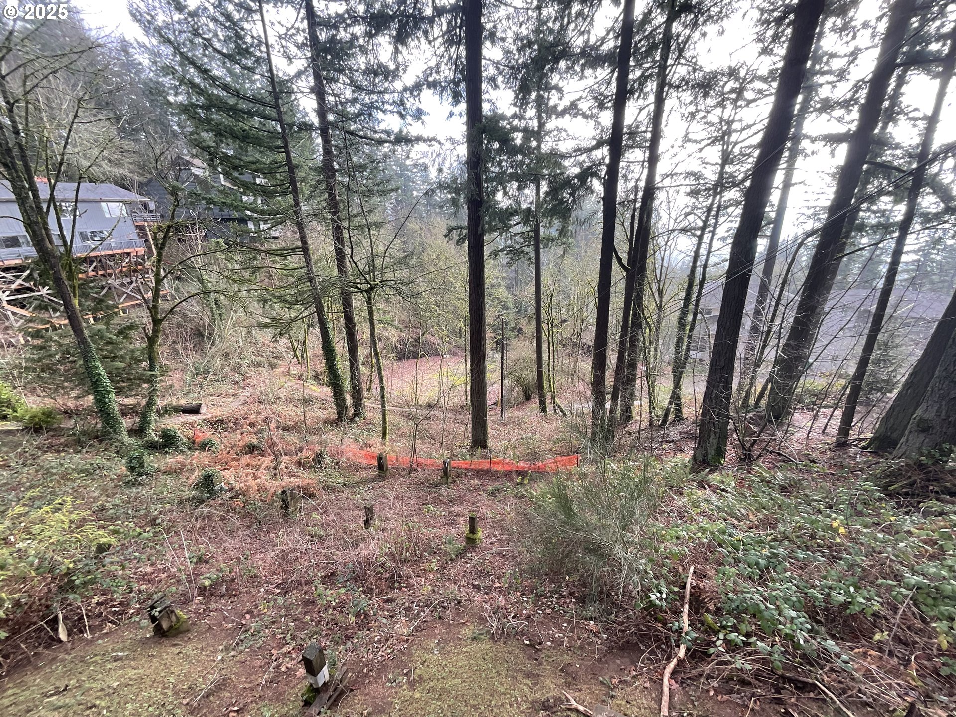 4410 Southwest Hewett Boulevard Portland, OR 97221 - Photo 17 of 17 a backyard of a house with lots of green space