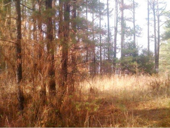 0 Pine Ridge Burlington, NC 27217 - Photo 1 of 5 98 Acre lot