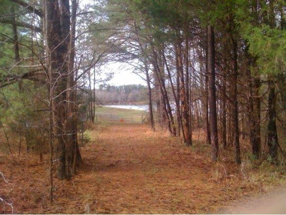 0 Pine Ridge Burlington, NC 27217 - Photo 3 of 5 View to Lake Cammack