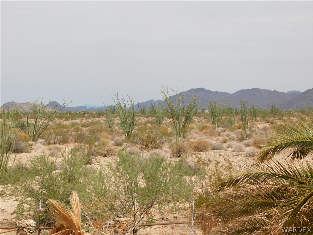 13799 Sherry Road Yucca, AZ 86438 - Photo 8 of 35 Gallery Image 8