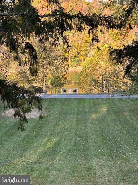 1494 Bennys Beach Road Front Royal, VA 22630 - Photo 2 of 53 View from the front deck