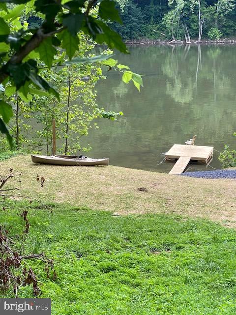 1494 Bennys Beach Road Front Royal, VA 22630 - Photo 4 of 53 Private floating dock, Shenandoah River