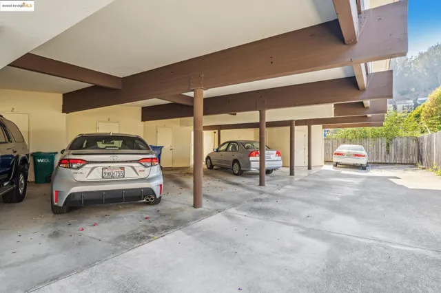a view of a backyard with plants