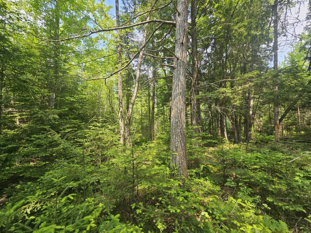 2016 Hudson Road Hudson, ME 04449 - Photo 25 of 36