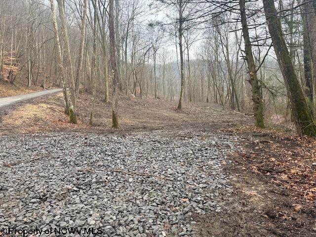 Tbd Irontown Road Independence, WV 26374 - Photo 13 of 30 Gallery Image 13