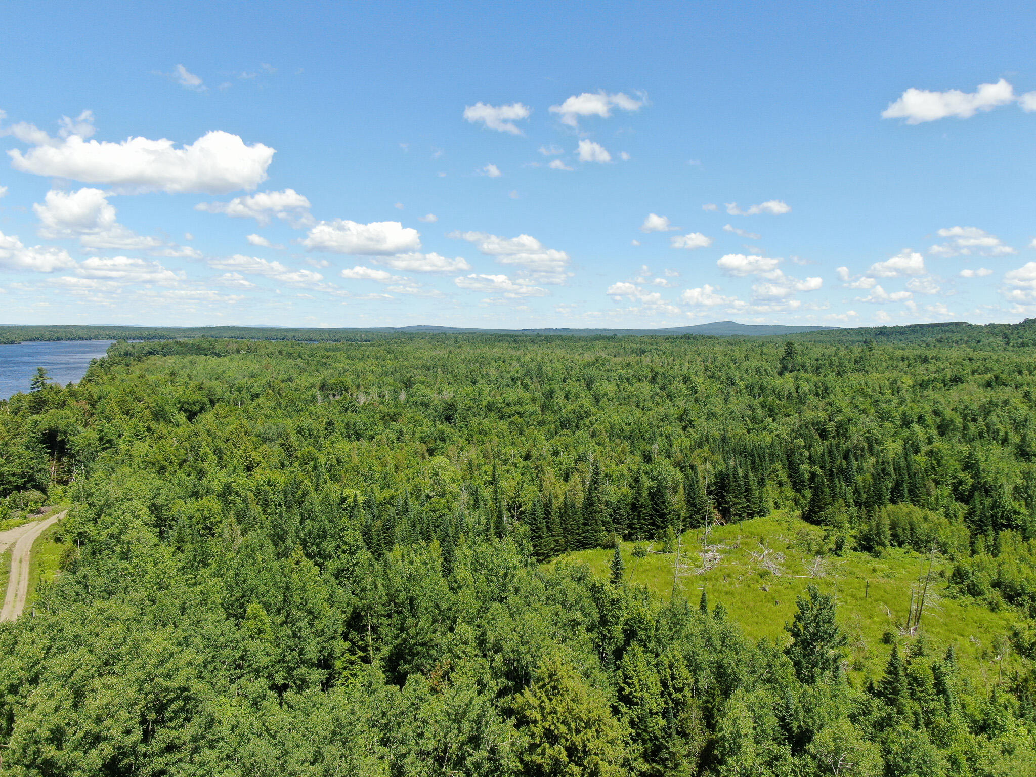 Lot 2 Woodland Ridge Road Danforth, ME 04424 - Photo 6 of 8