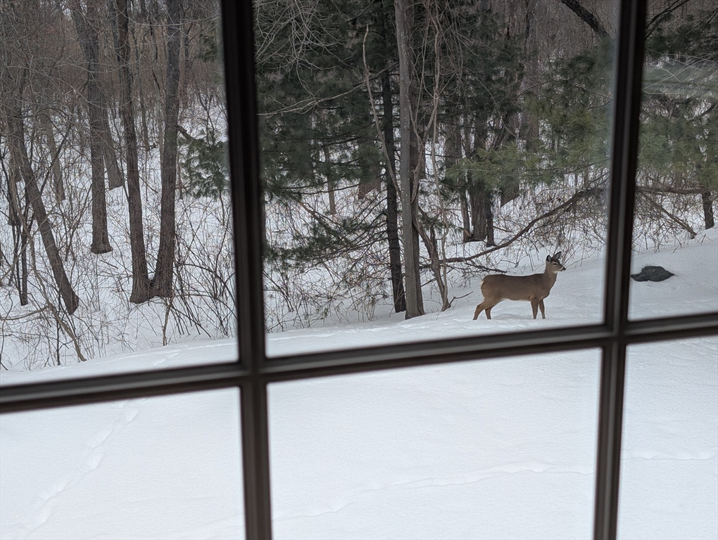 30 Weatherly Drive, Unit 30 Salem, MA 01970 - Photo 38 of 42