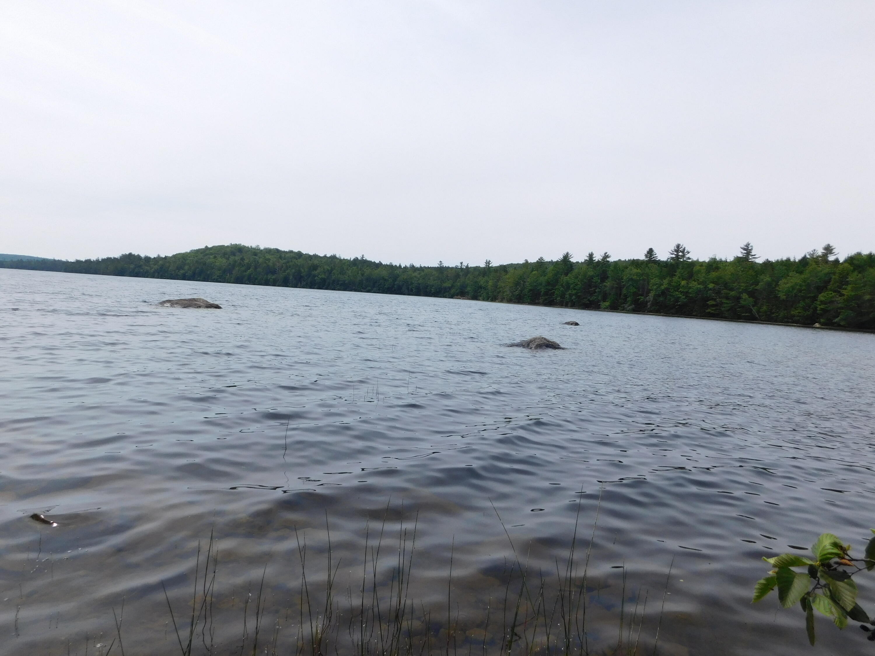Lot 10 Lot Road Aurora, ME 04408 - Photo 4 of 53 DSCN8716