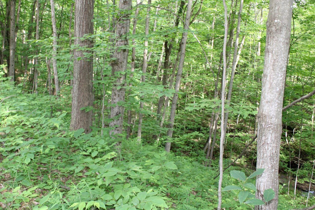 2750 Apple Creek Road Kalkaska, MI 49646 - Photo 9 of 24