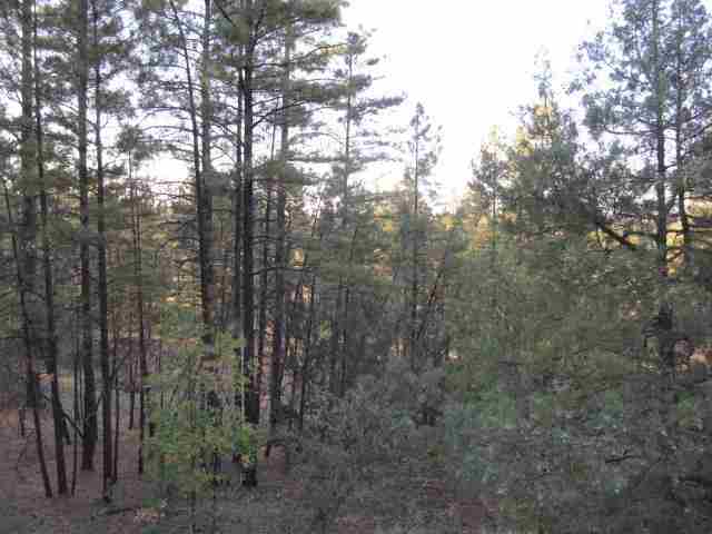 14 T10n R21e; Comnw Corner Show Low, AZ 85901 - Photo 2 of 11