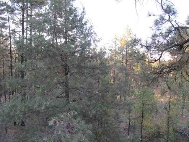 14 T10n R21e; Comnw Corner Show Low, AZ 85901 - Photo 3 of 11