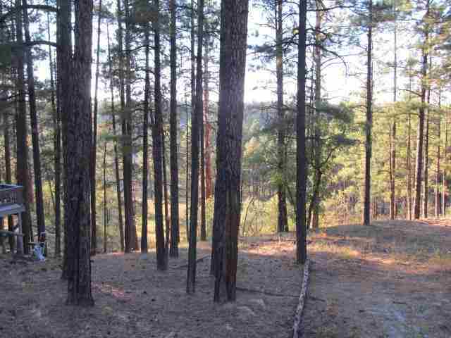 14 T10n R21e; Comnw Corner Show Low, AZ 85901 - Photo 6 of 11