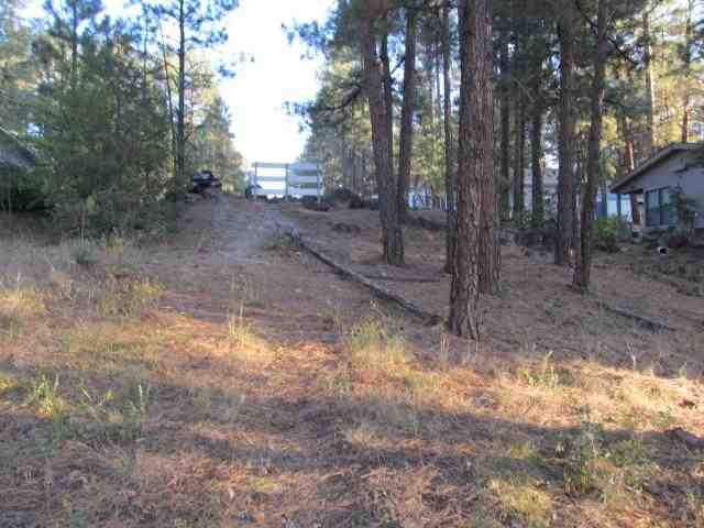 14 T10n R21e; Comnw Corner Show Low, AZ 85901 - Photo 8 of 11