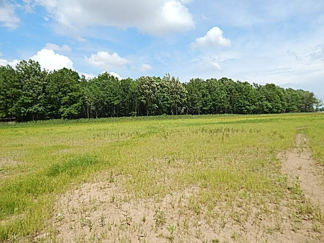 0 Presley Road Sledge, MS 38670 - Photo 12 of 28 Photo 18