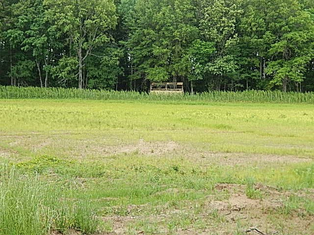0 Presley Road Sledge, MS 38670 - Photo 16 of 28 Photo 22