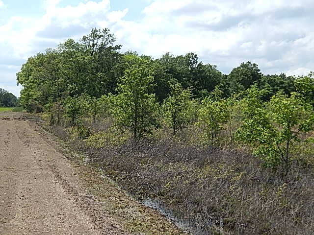 0 Presley Road Sledge, MS 38670 - Photo 4 of 28 Photo 6
