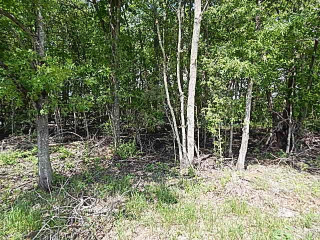 0 Presley Road Sledge, MS 38670 - Photo 6 of 28 Photo 9