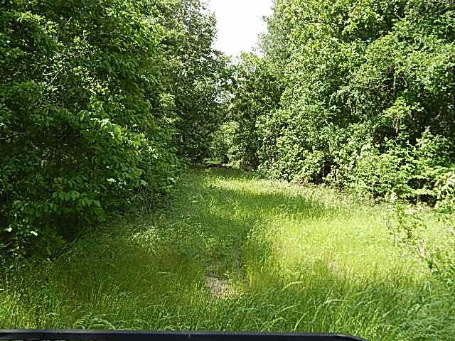 0 Presley Road Sledge, MS 38670 - Photo 8 of 28 Photo 13