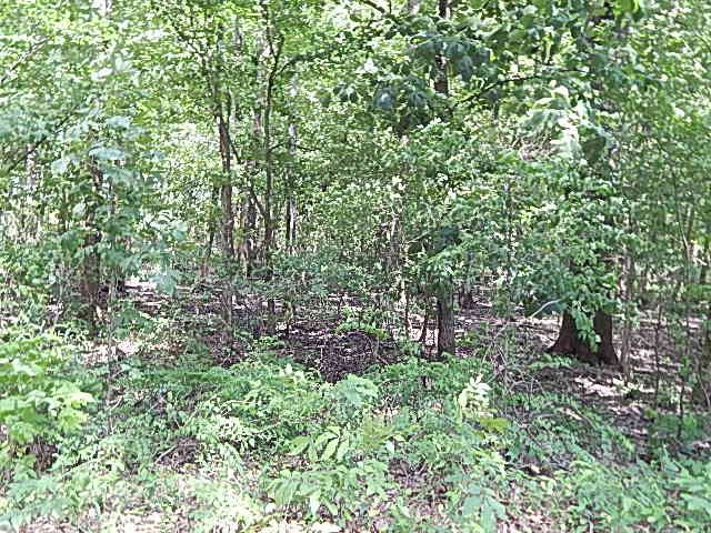 0 Presley Road Sledge, MS 38670 - Photo 9 of 28 Photo 14