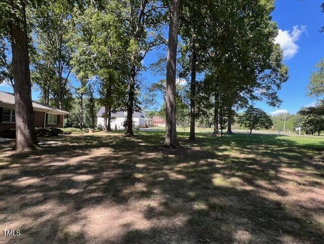 5629 Tabbs Creek Road Oxford, NC 27565 - Photo 3 of 40 a view of road with tree