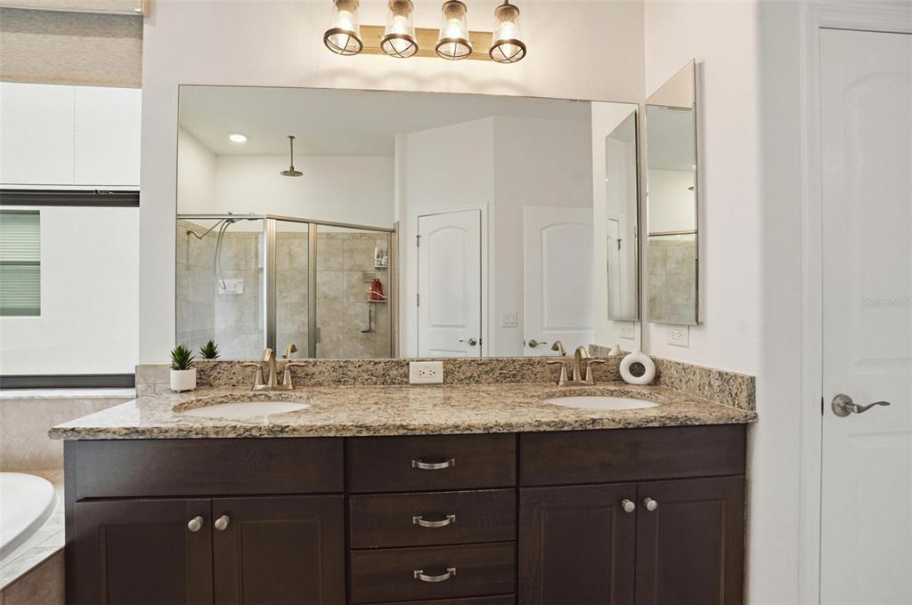 12417 Coralbean Court New Port Richey, FL 34654 - Photo 23 of 64 a bathroom with a granite countertop sink and a mirror