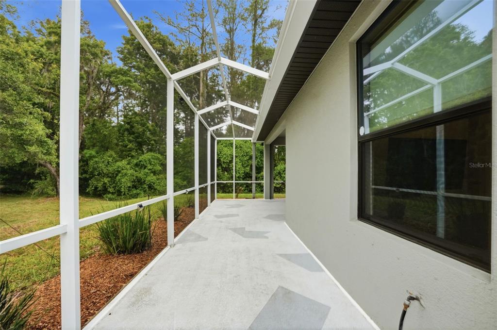 12417 Coralbean Court New Port Richey, FL 34654 - Photo 41 of 64