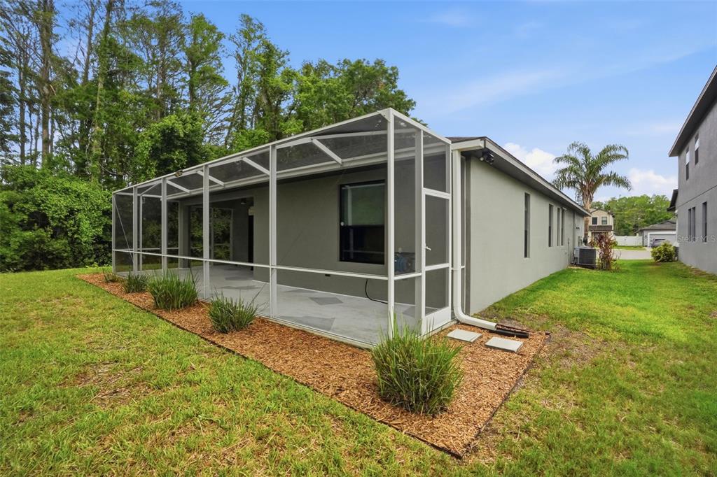 12417 Coralbean Court New Port Richey, FL 34654 - Photo 46 of 64 a view of backyard with green space