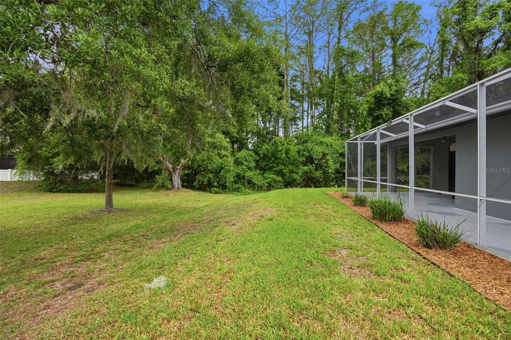 12417 Coralbean Court New Port Richey, FL 34654 - Photo 47 of 64