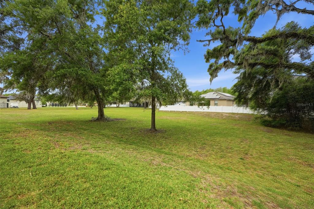 12417 Coralbean Court New Port Richey, FL 34654 - Photo 48 of 64 a view of a trees with a yard
