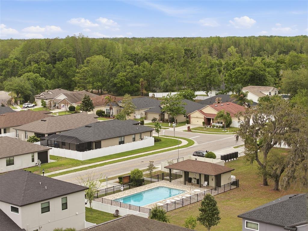 12417 Coralbean Court New Port Richey, FL 34654 - Photo 49 of 64 an aerial view of residential houses with outdoor space and swimming pool