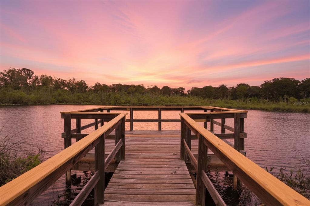 12417 Coralbean Court New Port Richey, FL 34654 - Photo 50 of 64 a view of a lake and outdoor seating