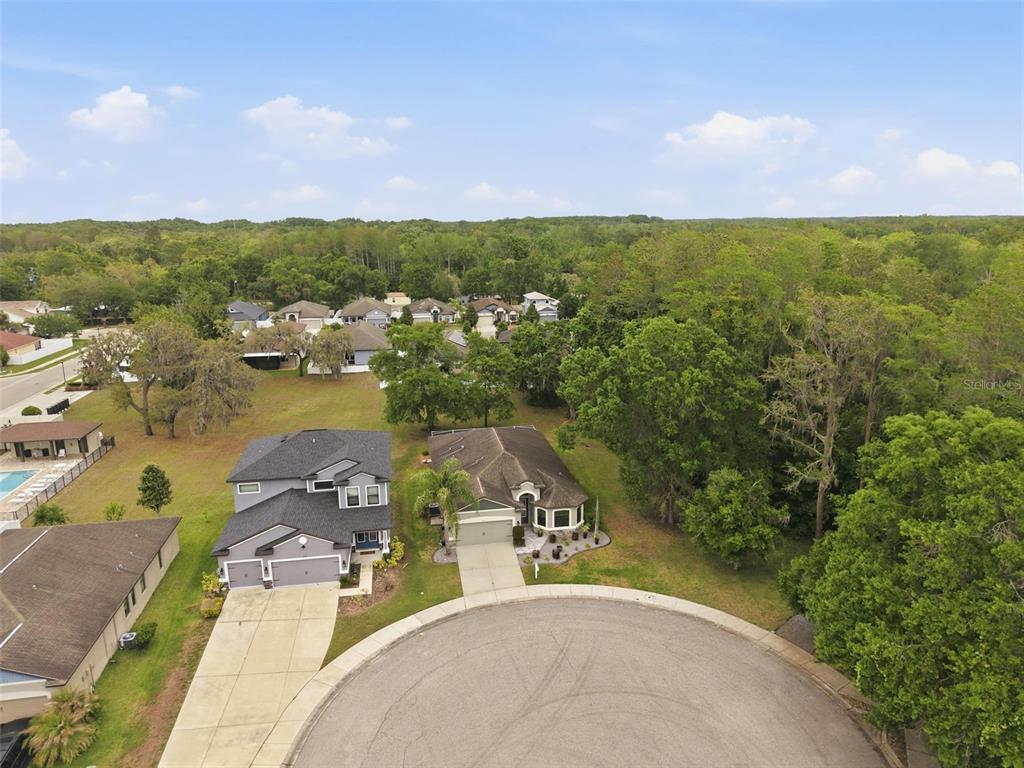 12417 Coralbean Court New Port Richey, FL 34654 - Photo 52 of 64 an aerial view of residential houses with outdoor space and trees