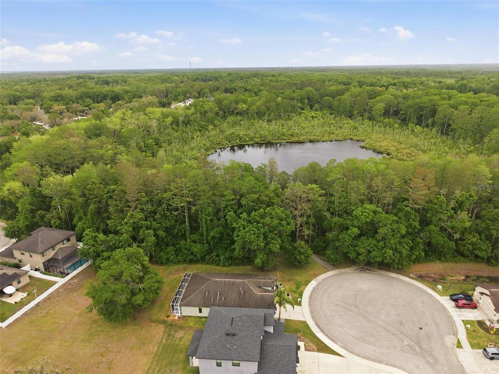 12417 Coralbean Court New Port Richey, FL 34654 - Photo 54 of 64 an aerial view of a house with a yard and lake view