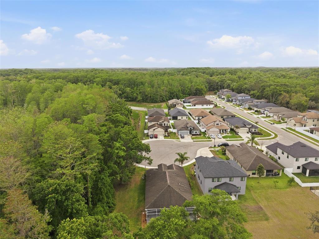 12417 Coralbean Court New Port Richey, FL 34654 - Photo 56 of 64 an aerial view of a house with a garden