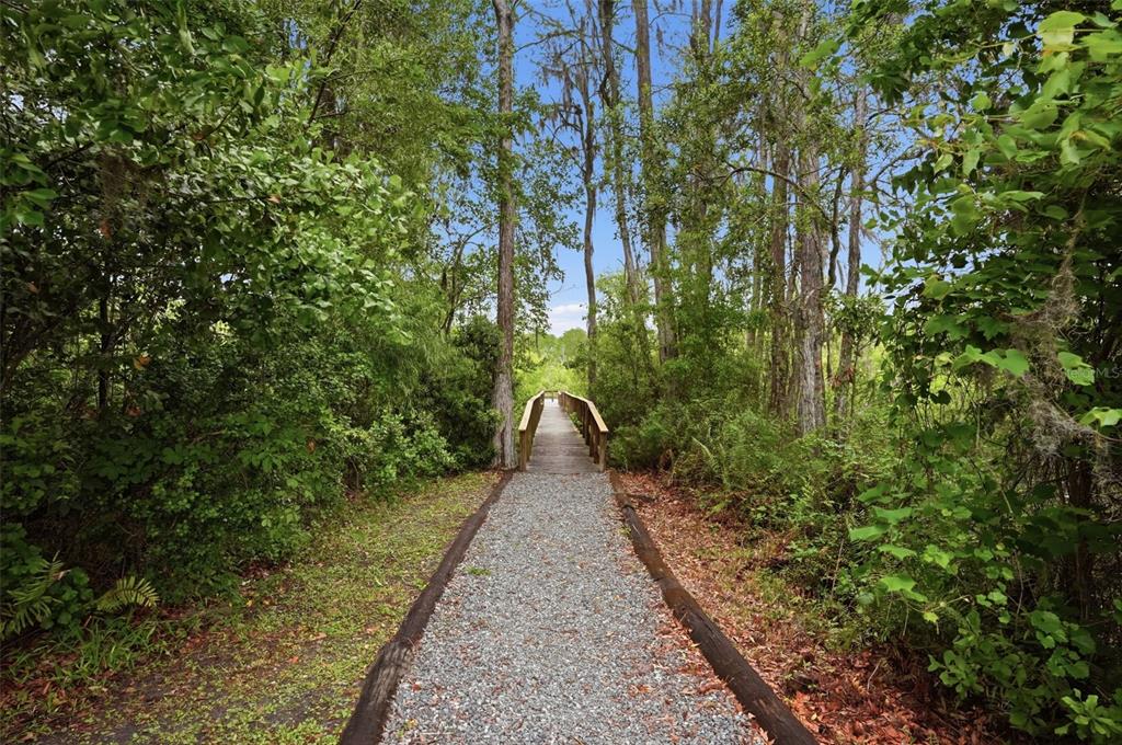 12417 Coralbean Court New Port Richey, FL 34654 - Photo 57 of 64 a view of a pathway with a garden