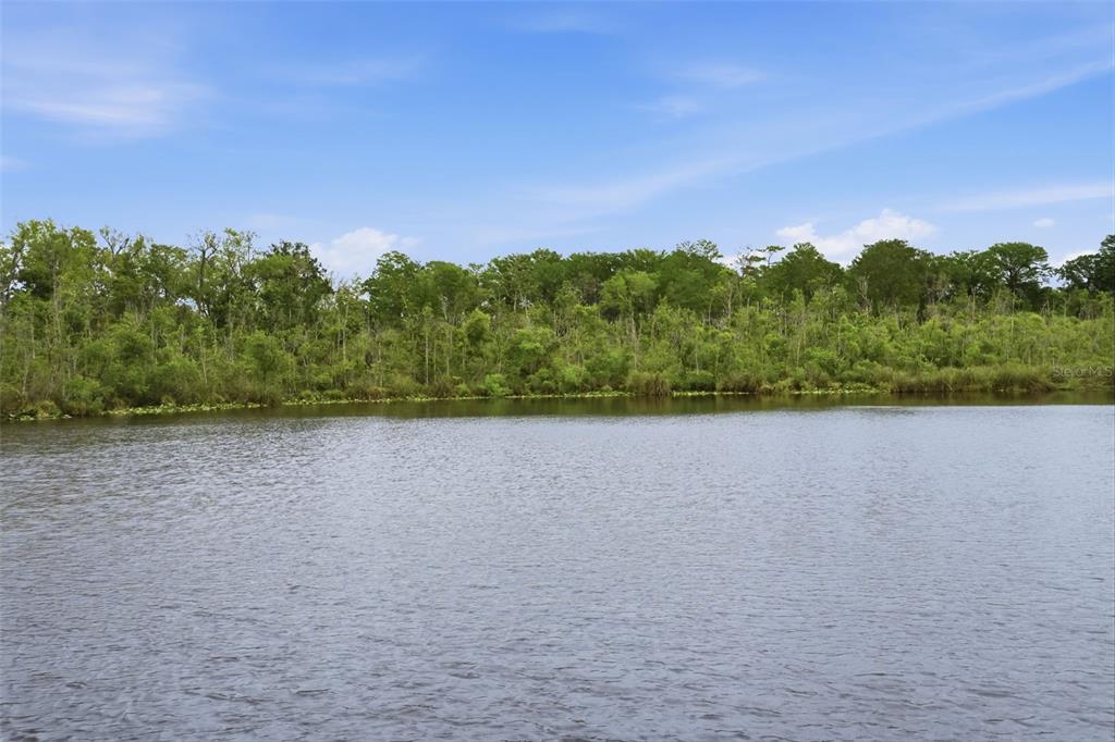 12417 Coralbean Court New Port Richey, FL 34654 - Photo 60 of 64