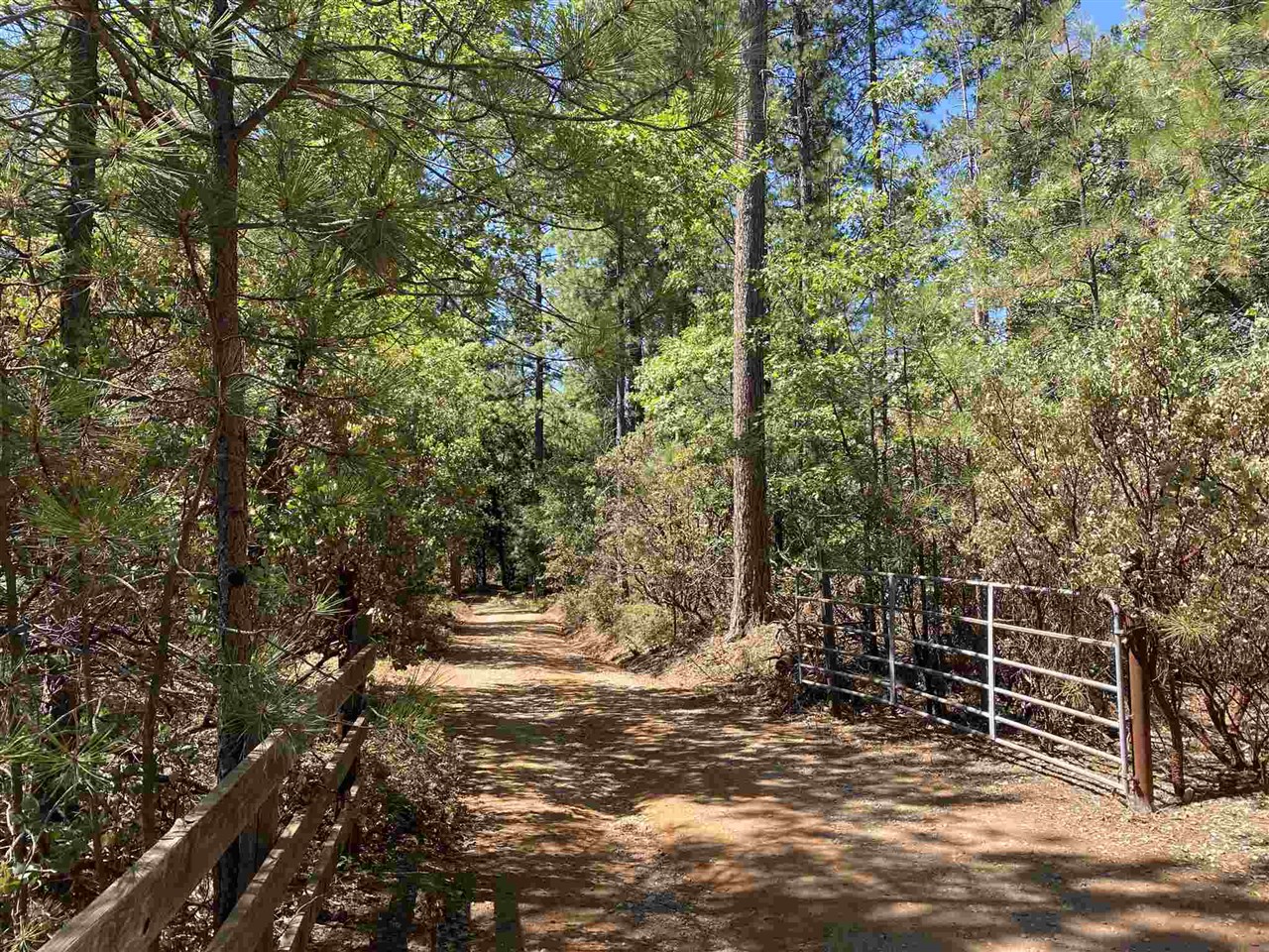307 Ridge Road Mokelumne Hill, CA 95245 - Photo 4 of 32 a view of a field with trees in the background