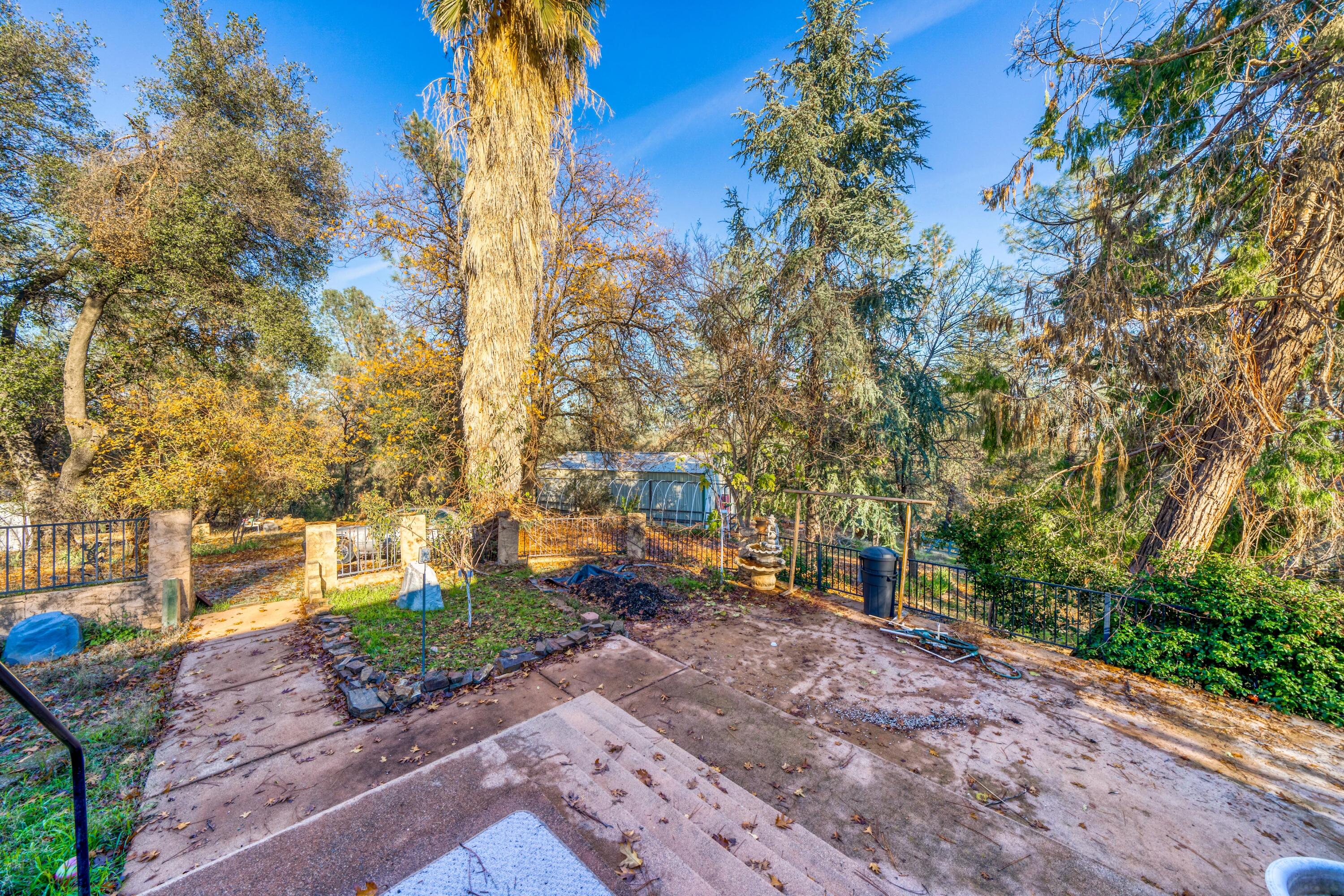 12945 Beltline Road Redding, CA 96003 - Photo 21 of 39 a view of a yard with plants and trees