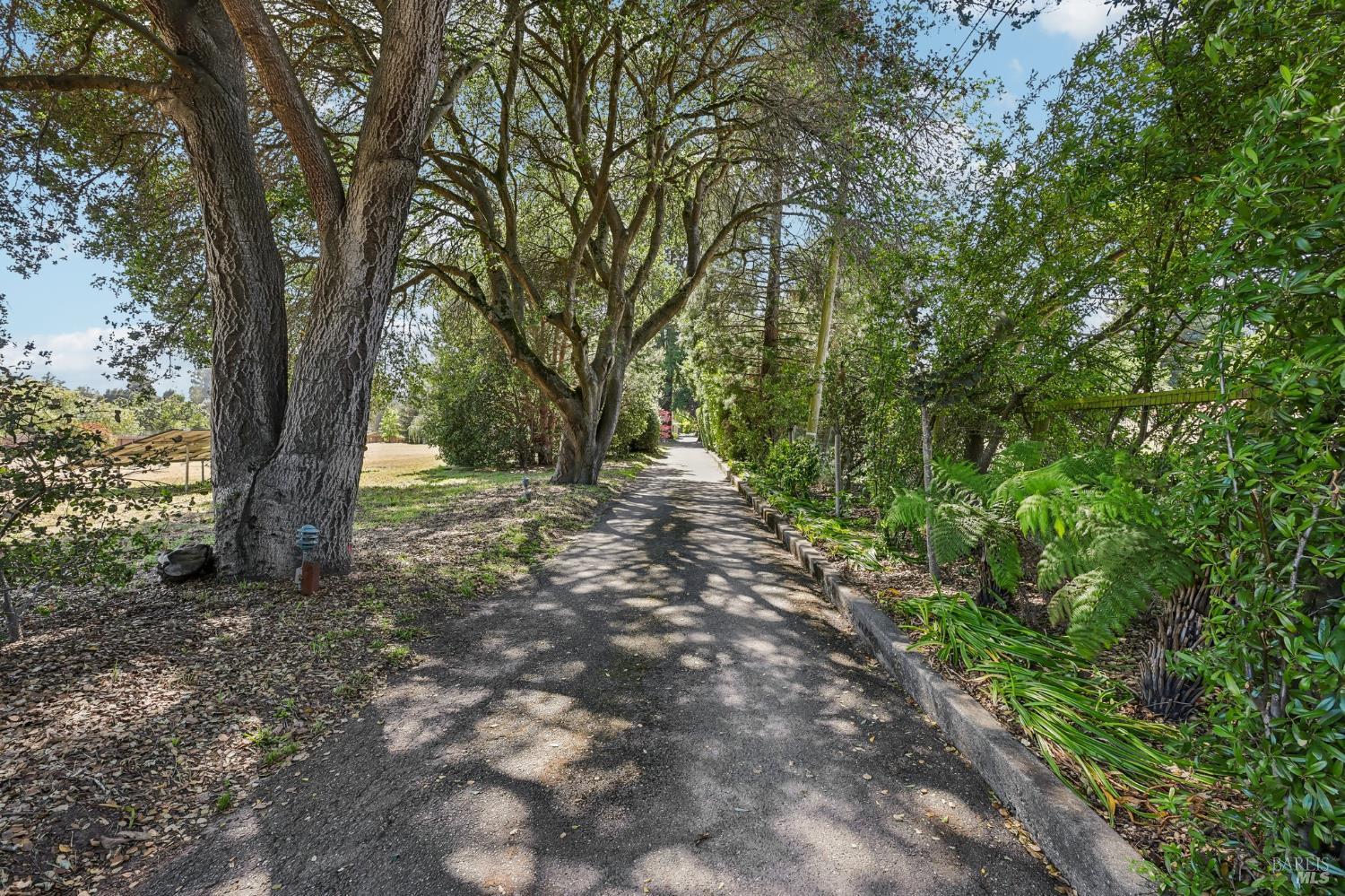 4190 Hessel Road Sebastopol, CA 95472 - Photo 50 of 66