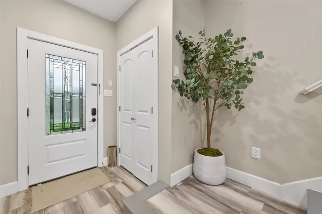 a view of a potted plant sitting on a floor