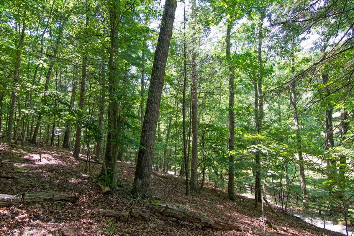 751-771 Lipps Road Lewisburg, WV 24901 - Photo 28 of 43 Gallery Image 28