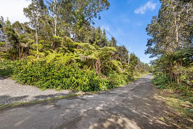 a view of a yard with a trees