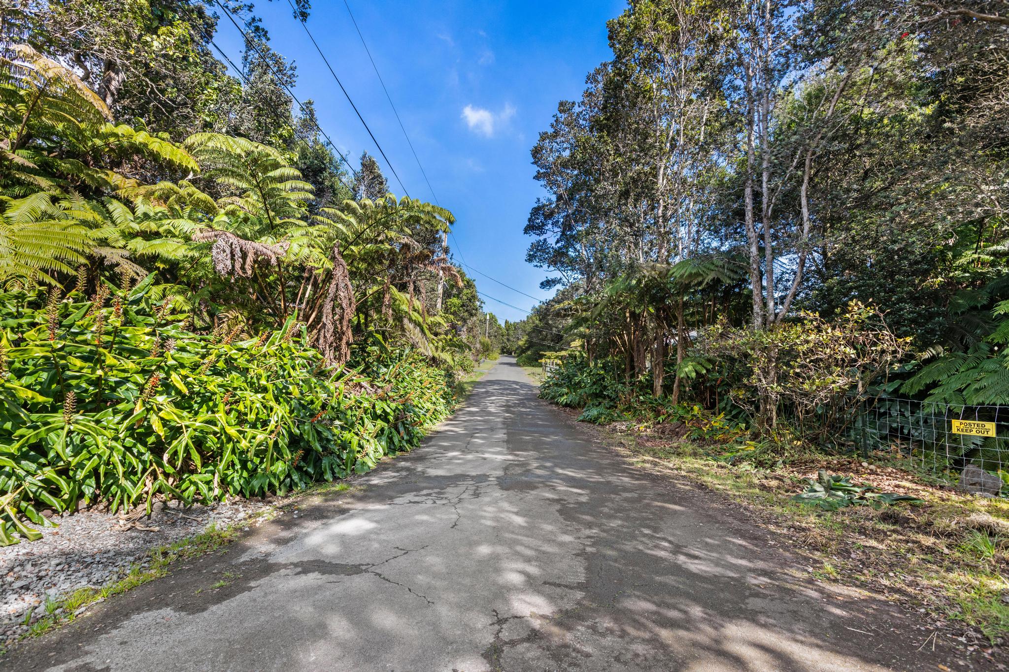 28 Kilinoe Street Volcano, HI 96785 - Photo 3 of 11 a backyard of a house with lots of green space