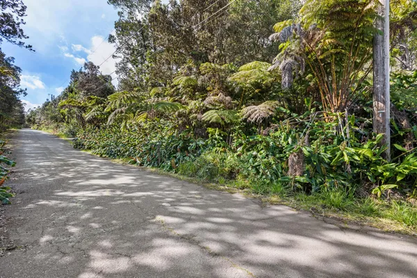 a view of a yard with a tree