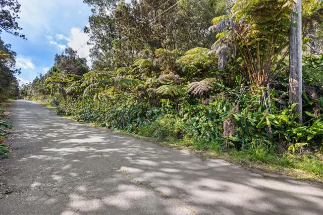 a view of a yard with a tree