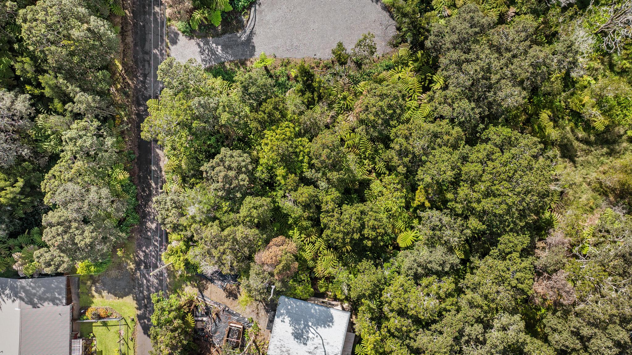 28 Kilinoe Street Volcano, HI 96785 - Photo 10 of 11 an outdoor space with lots of trees