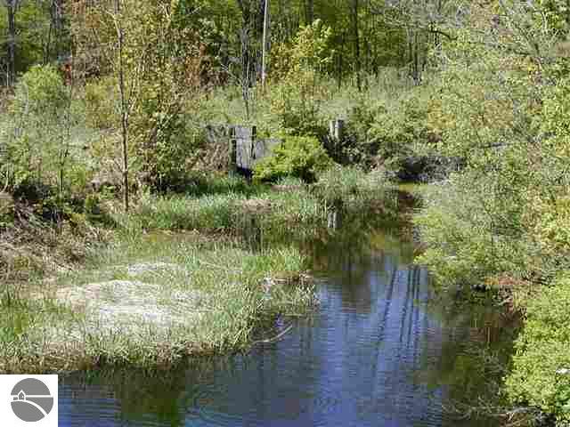 22288 Conrad Road Copemish, MI 49625 - Photo 24 of 25 1735030-23.JPG