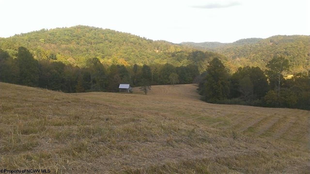 629 Walnut Fork Road Alum Bridge, WV 26321 - Photo 19 of 20 Gallery Image 19