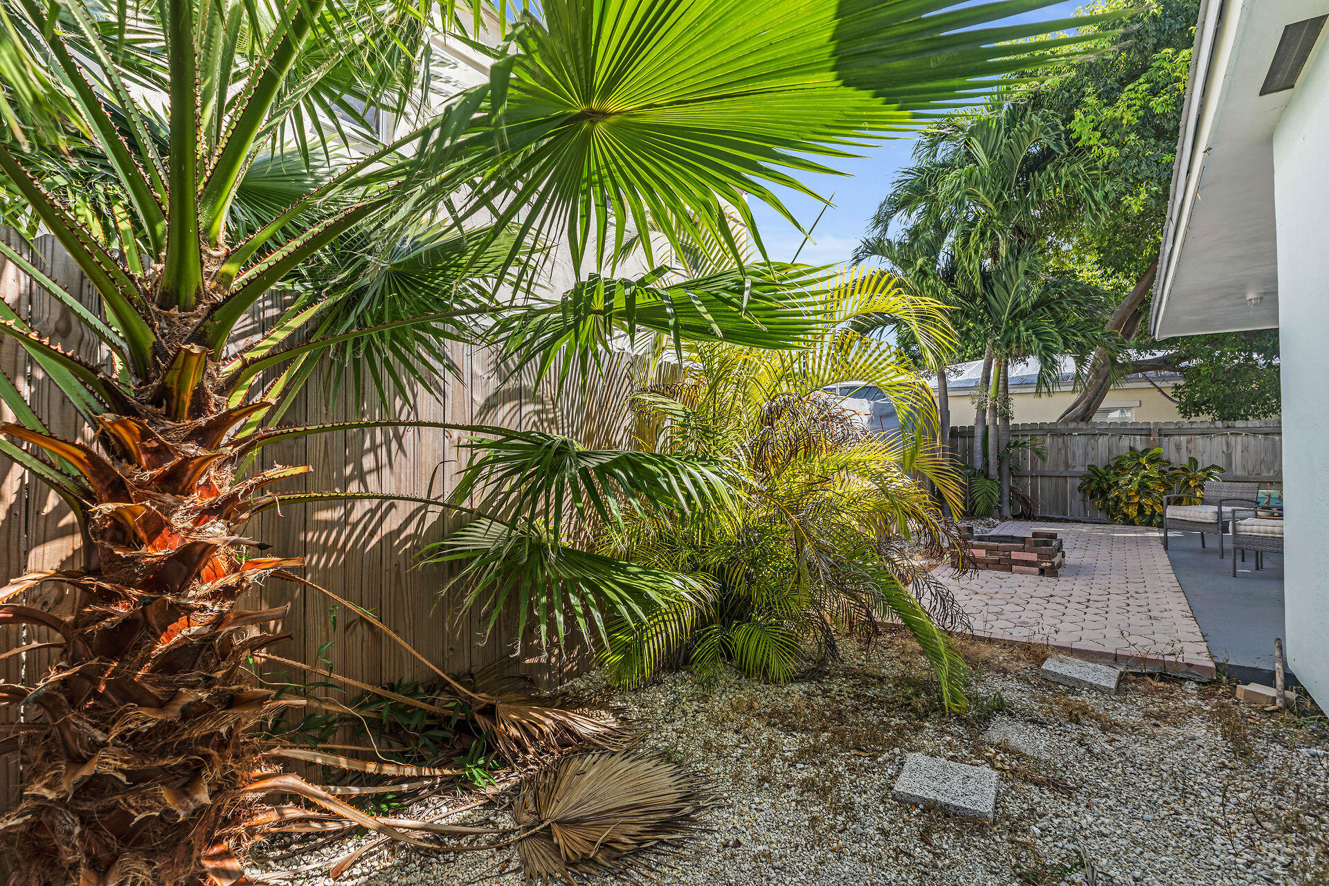 37 Orange Drive Key Largo, FL 33037 - Photo 23 of 32 a plant that is in front of a house